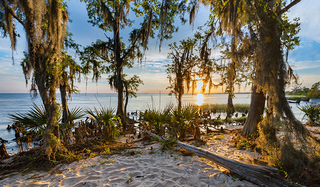 Blog_Best camping spots sites in Louisiana