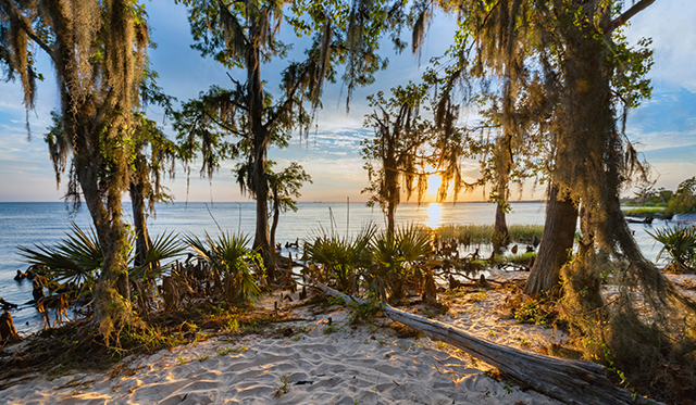 The 5 best camping getaways Louisiana has to offer